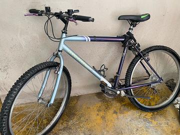 Mountain bike funzionante