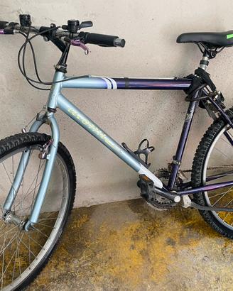 Mountain bike funzionante