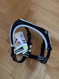 CANE:pettorina e guinzaglio taglia media