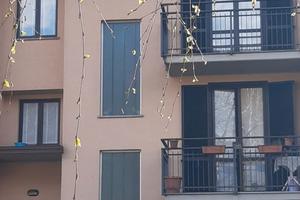 Villetta a schiera Fronte parco