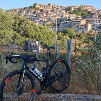 bici da strada garnet