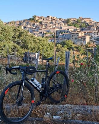 bici da strada garnet