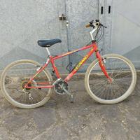 bici mtb Legnano 