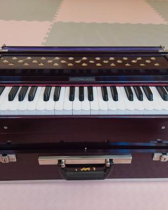 harmonium indiano