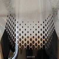 Cupolino Ducati Desert x