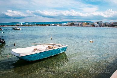 TORRE CANNE-last minute agosto