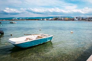 TORRE CANNE-last minute agosto