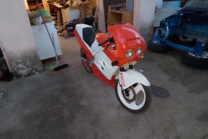 Malaguti rst