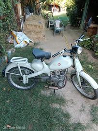 motom 48 a bacchetta 