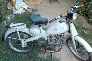 motom 48 a bacchetta 