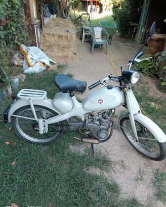 motom 48 a bacchetta 
