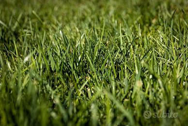 Lotti terreno agricolo pianeggiante