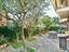 Immagine 7