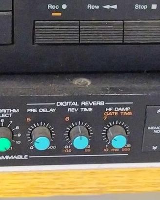 processore suono digitale Roland DEP 5 profess.