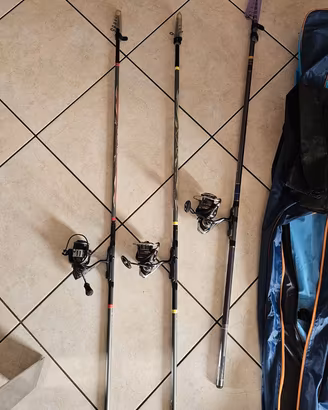 Serie di 3 canne da pesca laghetto daiwa trabucco