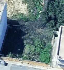 Rif.8882TE88385| area edificabile mazara del vall