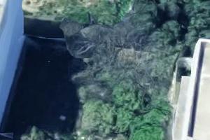 Rif.8882TE88385| area edificabile mazara del vall