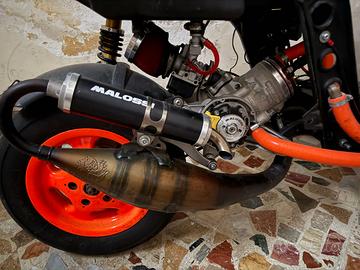 Zip Sp mk1 pronto pista
