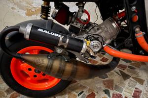 Zip Sp mk1 pronto pista