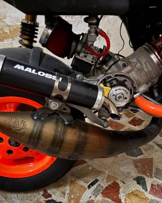 Zip Sp mk1 pronto pista
