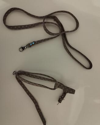 guinzaglio cane taglia S