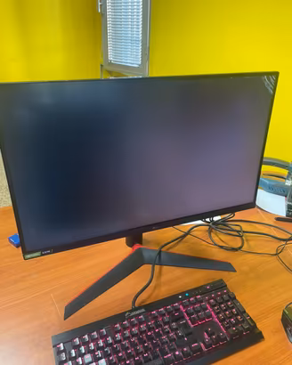 Monitor ultragear non funzionante QHD 27 pollici