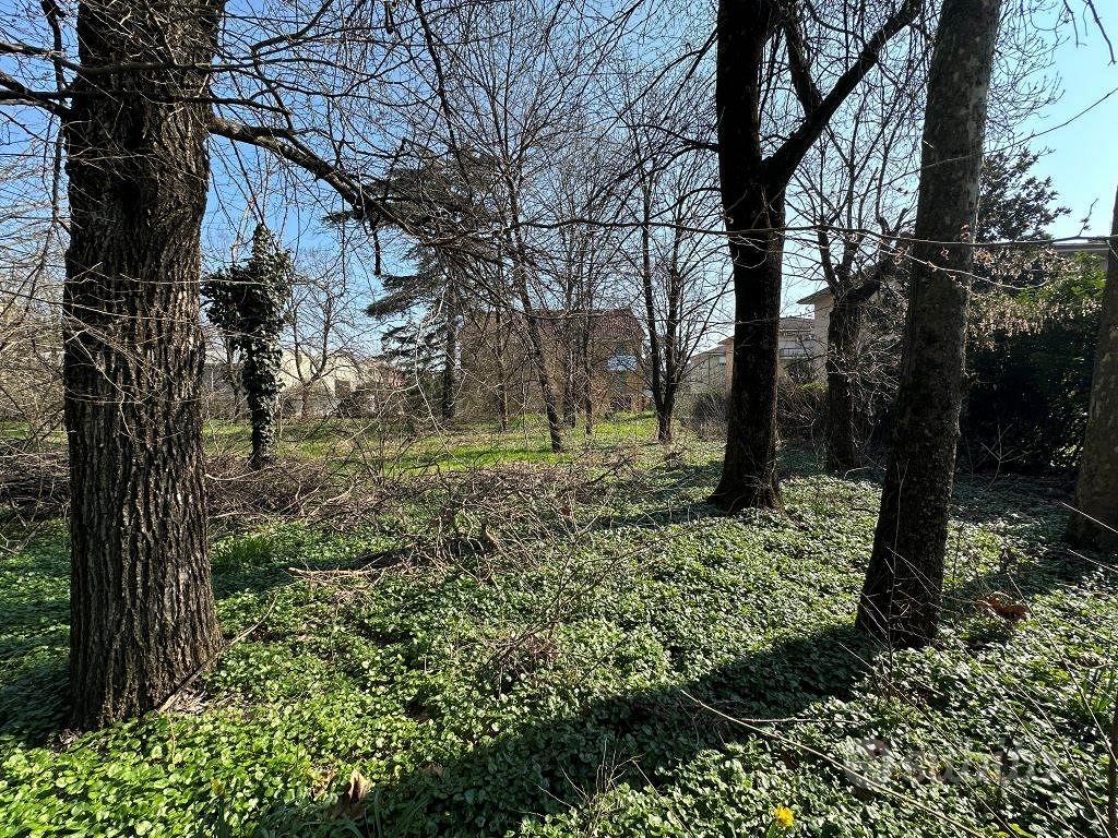 Rif.2460TE52559| area edificabile san giorgio pia - Vista 4