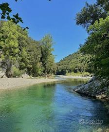 Terreno con 450 olivi in Val Calore