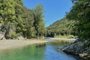 Terreno con 450 olivi in Val Calore