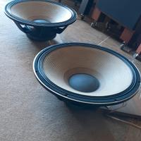 coppia di woofer da 18 pollici 
