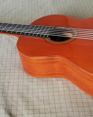 chitarra classica  Privada  P 9 sped. compresa