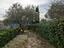 Immagine 13