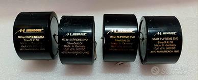 Mundorf Supreme EVO Silver Gold Oil 10 µF 800 V 