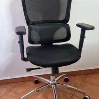 Sedia Ergonomica Sihoo Serie M56 C