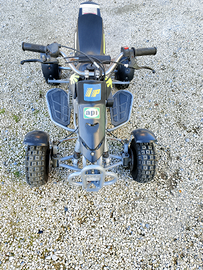 Mini Quad a motore