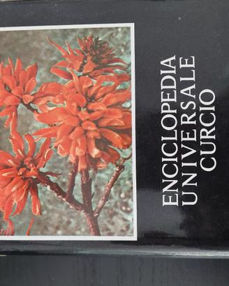 Enciclopedia universale Curcio n.8 volumi