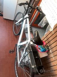Schiano E-Moon, Bici Elettrica