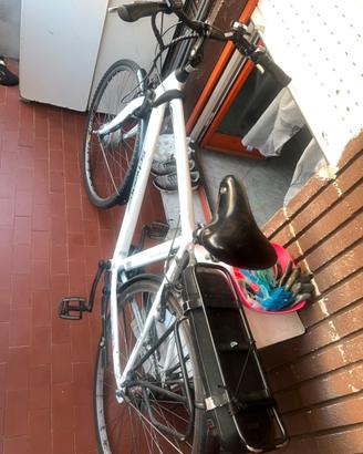 Schiano E-Moon, Bici Elettrica