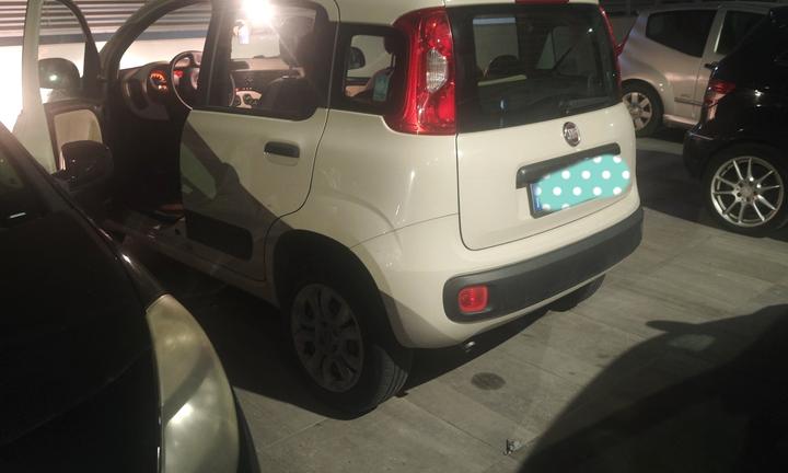 fiat panda 