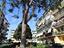 Immagine 21