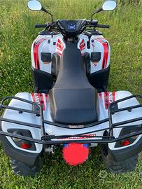 Quad crossland 300