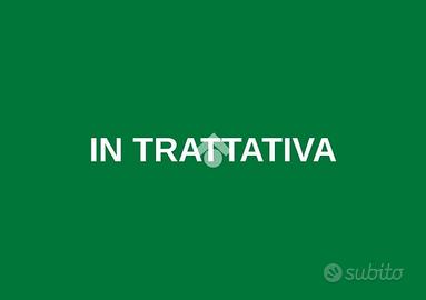4 LOCALI A TREZZANO ROSA