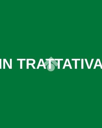 4 LOCALI A TREZZANO ROSA