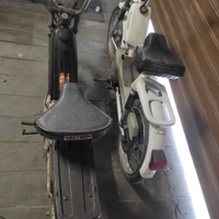 Girelli gulp e benelli CD