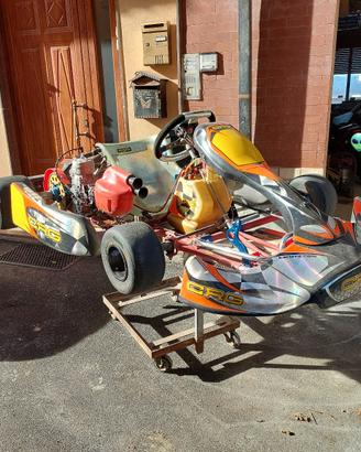 Go Kart 100