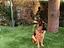 Immagine 4