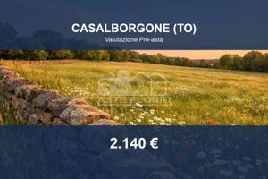 Immobile in asta di 40325 m² a Casalborgone