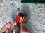 Immagine 5
