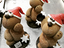 Immagine 5
