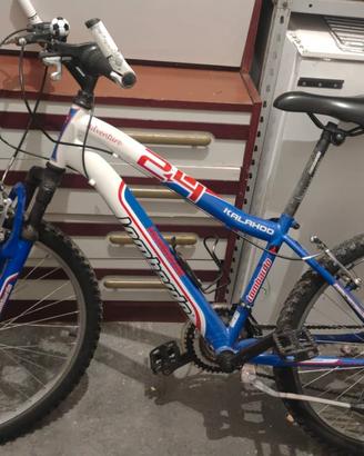 bici lombardo Kalahoo Adventure 24 pollici 